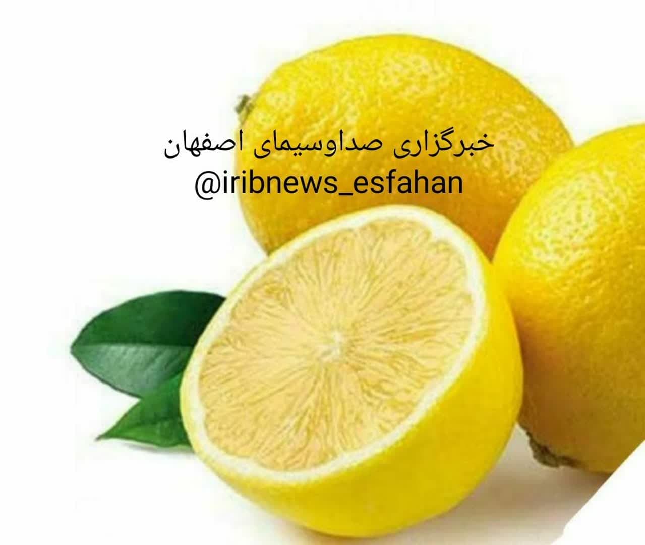 https://s2.uupload.ir/files/%D8%AE%D9%88%D8%A7%D8%B5_%D9%84%DB%8C%D9%85%D9%88_ar4e.jpg