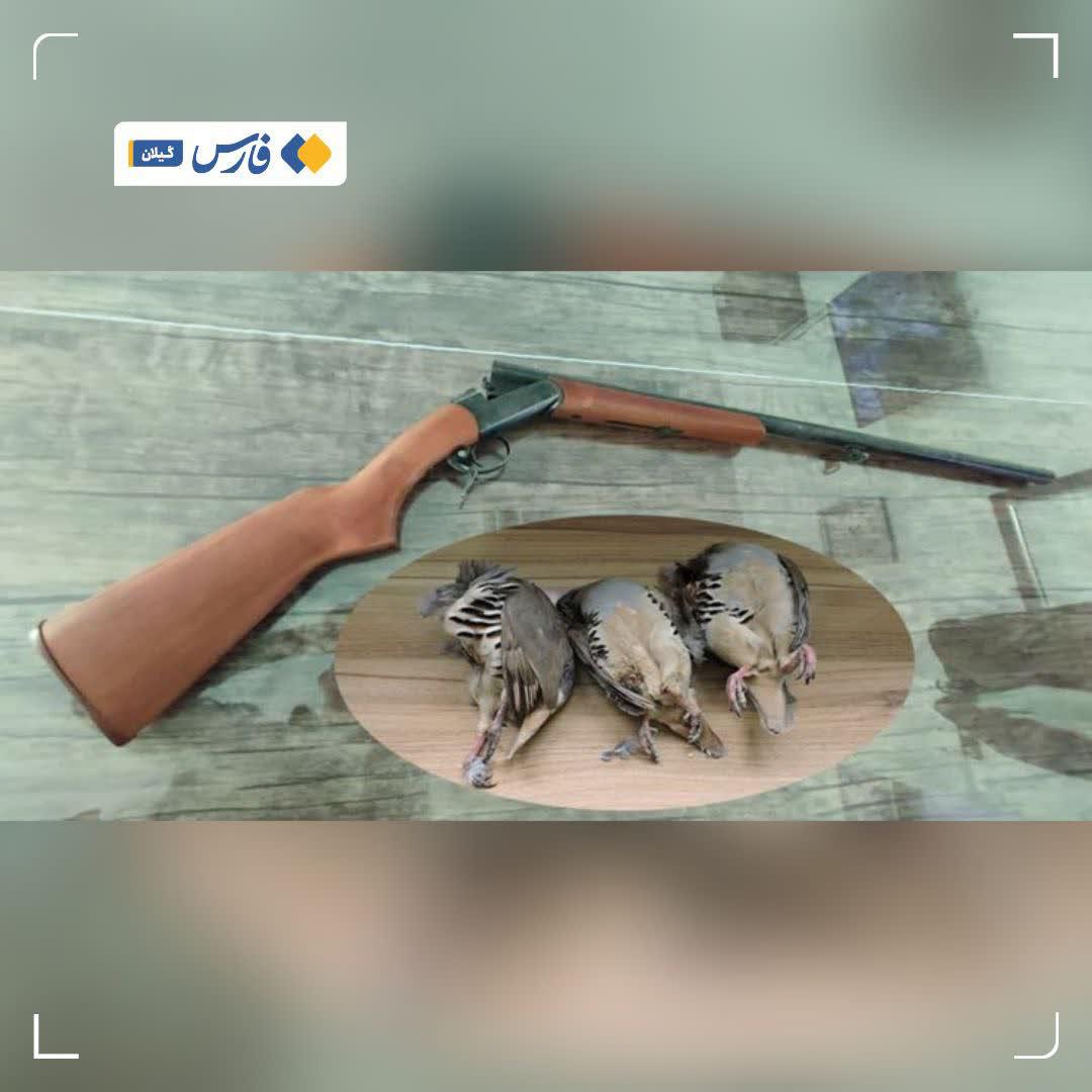 https://s2.uupload.ir/files/%D8%B4%DA%A9%D8%A7%D8%B1%DA%86%DB%8C_d5o3.jpg