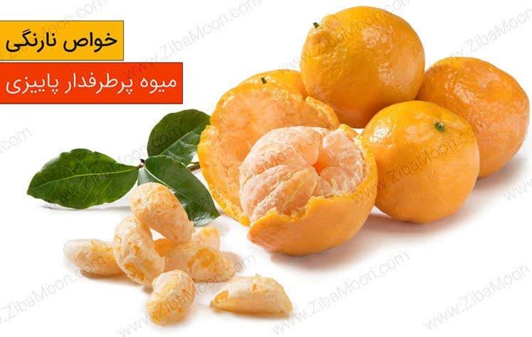 https://s2.uupload.ir/files/%D9%82%D8%AF%D8%B1%D8%AA_%D9%86%D8%A7%D8%B1%D9%86%DA%AF%DB%8C_0m3k.jpg