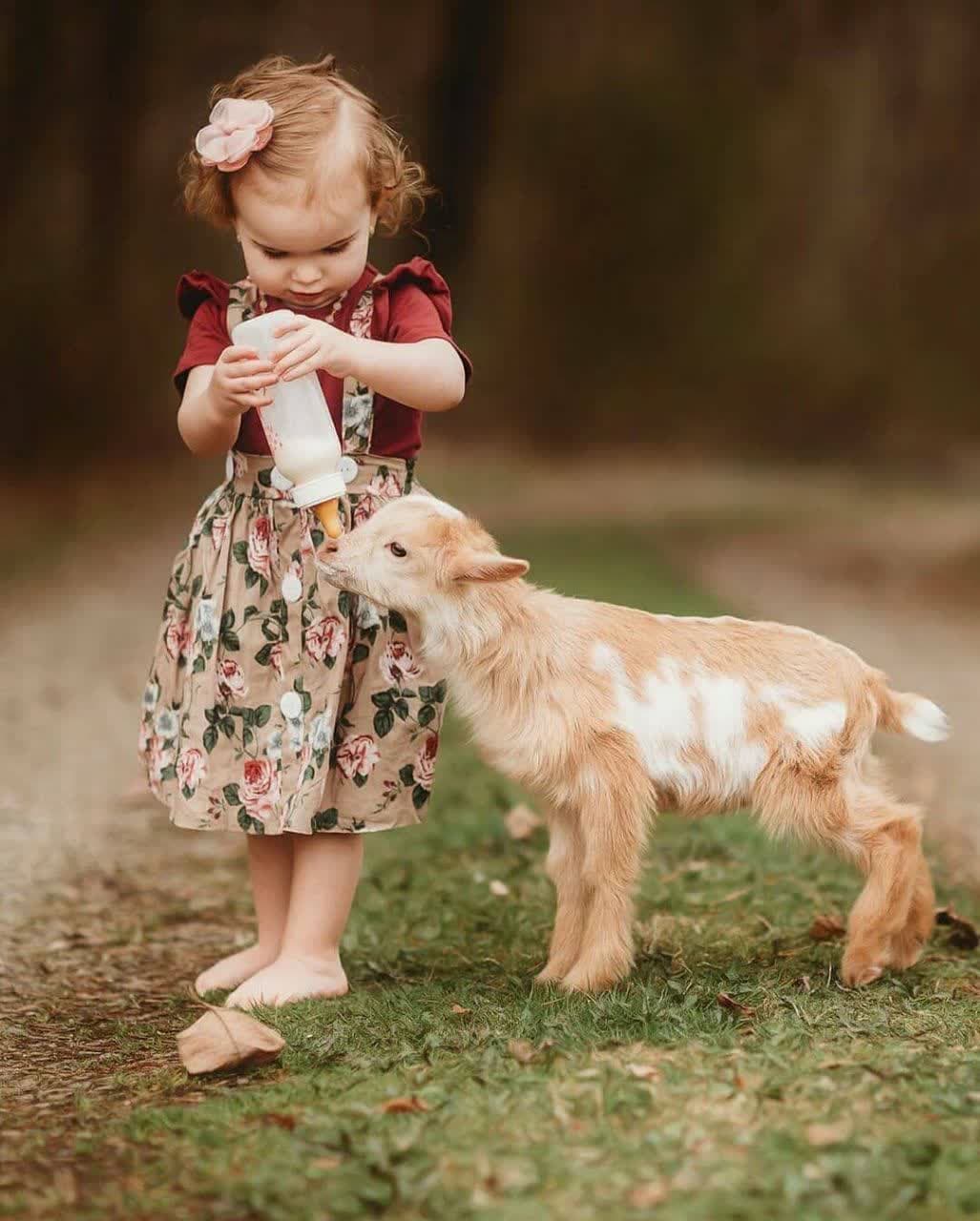 https://s2.uupload.ir/files/%D9%85%D8%A7%D8%B1%D8%A7%D8%A7%D8%B2_gfde.jpg