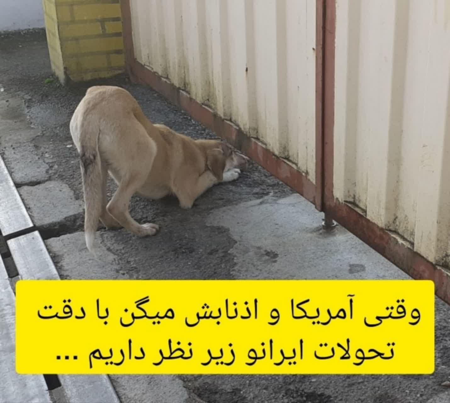 https://s2.uupload.ir/files/%D9%88%D9%82%D8%AA%DB%8C_%D8%A2%D9%85%D8%B1%DB%8C%DA%A9%D8%A7_qkz4.jpg
