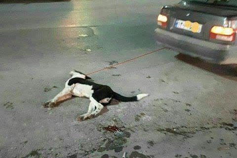 https://s2.uupload.ir/files/%DB%8C%DA%A9%D8%B3%D8%A7%D9%84_w7md.jpg