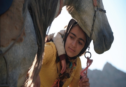 مستند «رویای یک اسب» به کارگردانی مرجان خسروی بالدی به بیستمین دوره جشنواره بیگ اسکای راه یافت