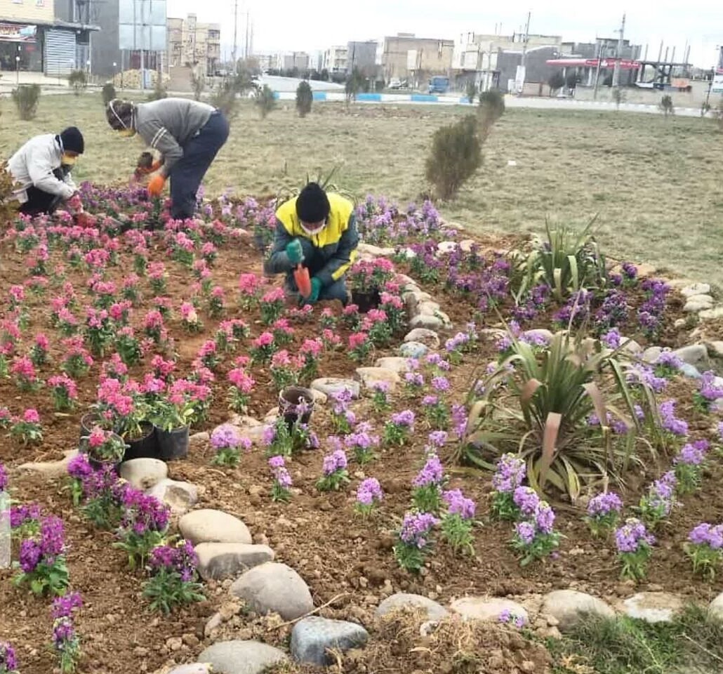  شهرداری ورامین به استقبال بهار رفت