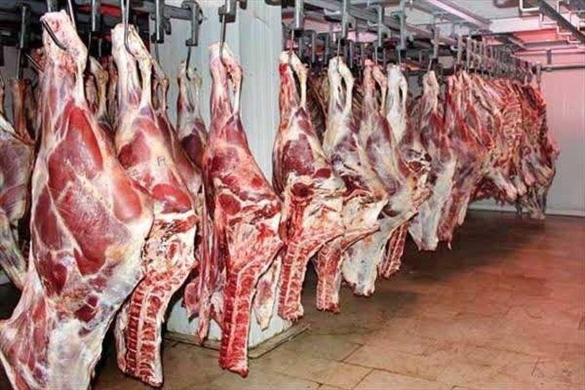 توزیع ۱۶۰ تن گوشت قرمز و سفید در شهرستان ری از ابتدای اسفندماه