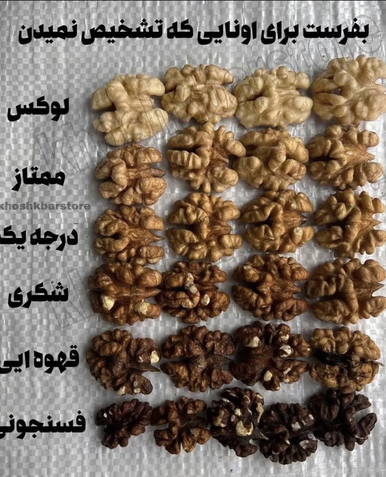 [تصویر:  43560d14-c92a-4df8-b084-0d60034c4a31_w45x.jpeg]