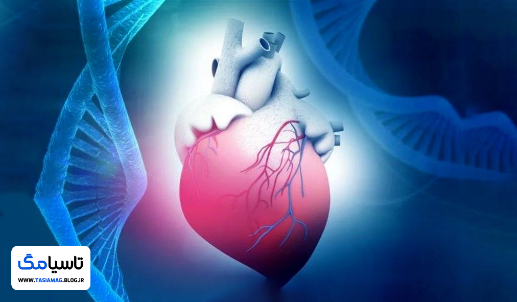 پژوهشگران با کشف یک ژن ضدپیری، قلب موش‌ها را 10 سال جوان کردند