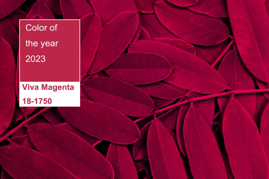 [تصویر:  6-gillde-pantone-2023-color_(1)_xoyh.png]