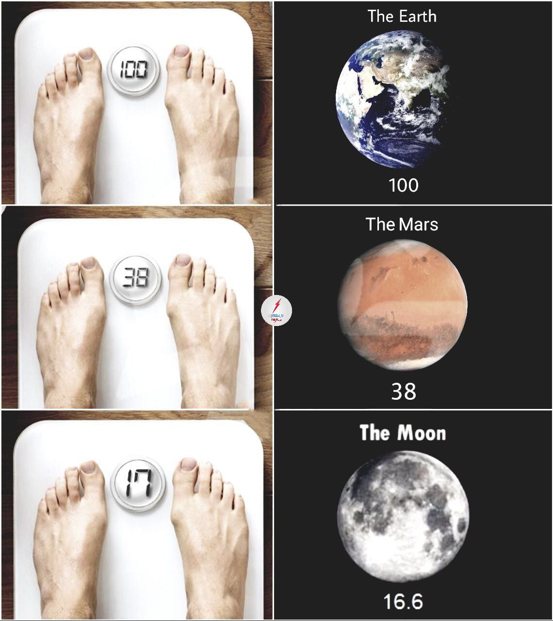 spacer.png