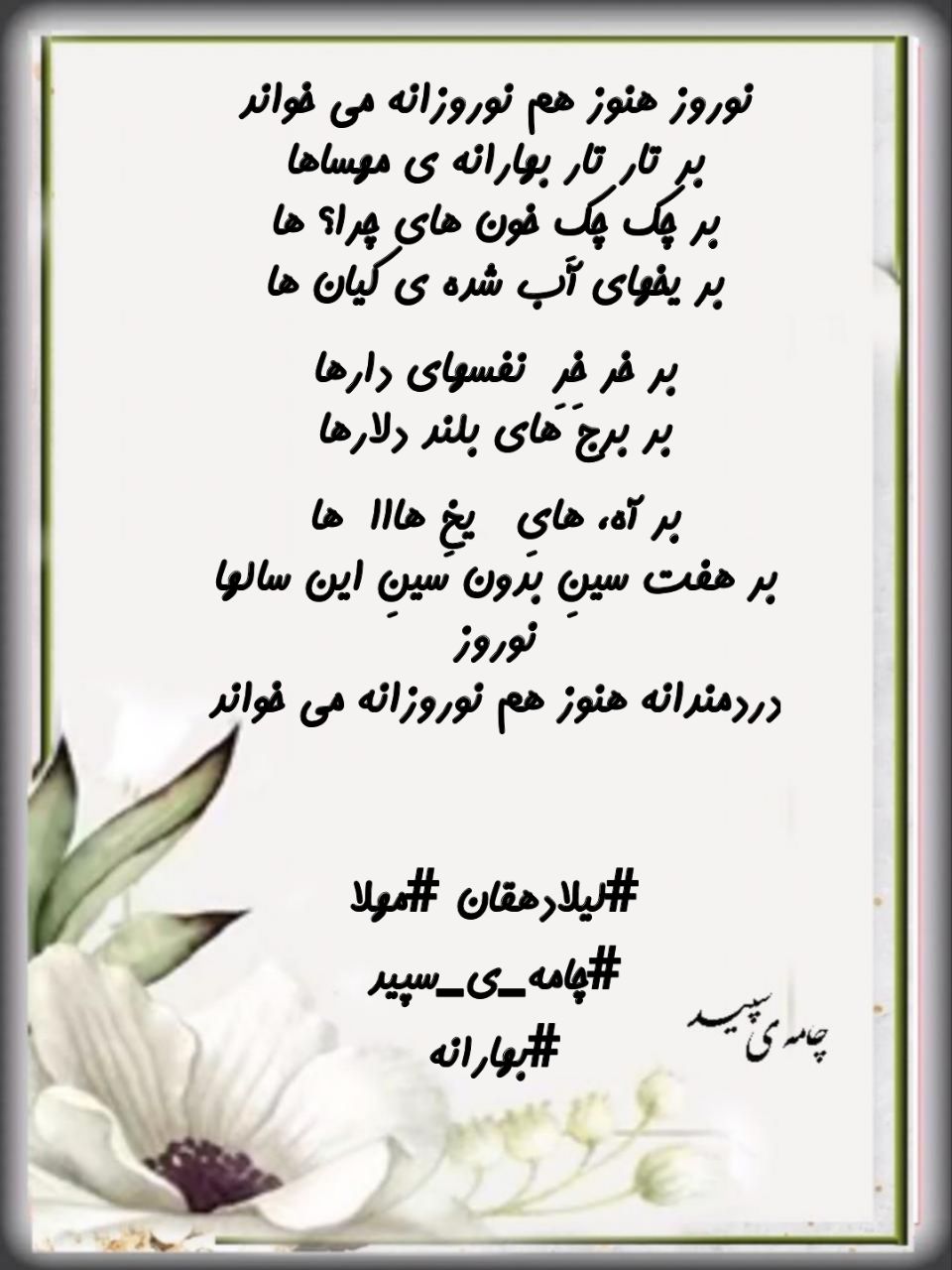 نوروز هنوز هم نوروزانه می خواند بر تار تار بهارانه ی مهساها بر چک چک خون های چرا؟ ها بر یخهای آب شده ی کیان ها بر خر خر نفسهای دارها بر برج های بلند دلارها بر آن، های یخ هااا ها بر هفت سین بدون سین این سالها نوروز دردمندانه هنوز هم نوروزانه می خواند #لیلادهقان #مهلا #چامه_ی_سپید چه می بید #بهارانه
