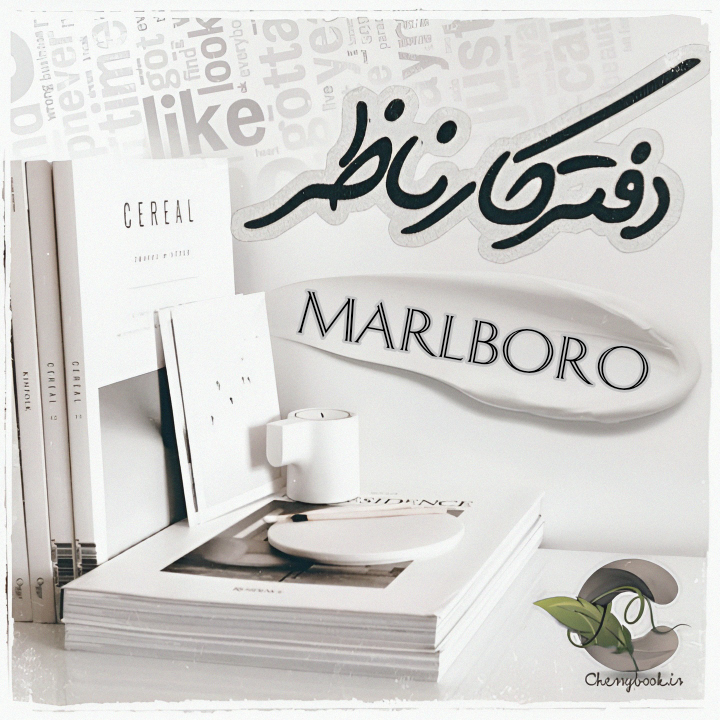 negar_۲۰۲۳۰۱۳۰_۰۸۰۸۵۸_g4jf.png