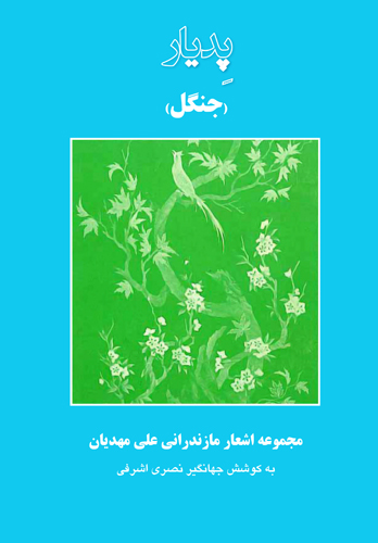 طرح روی جلد کتاب پدیار