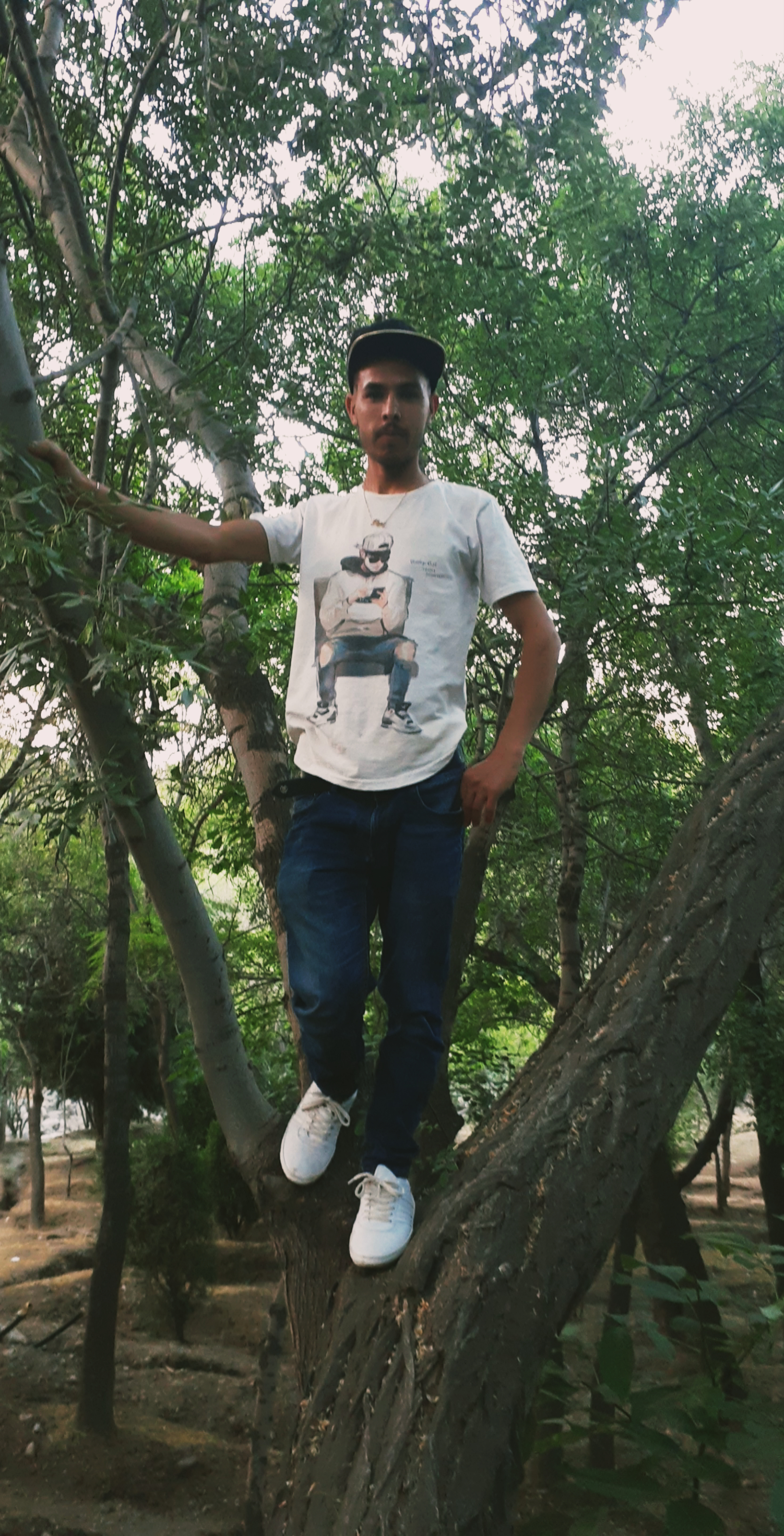 باب 