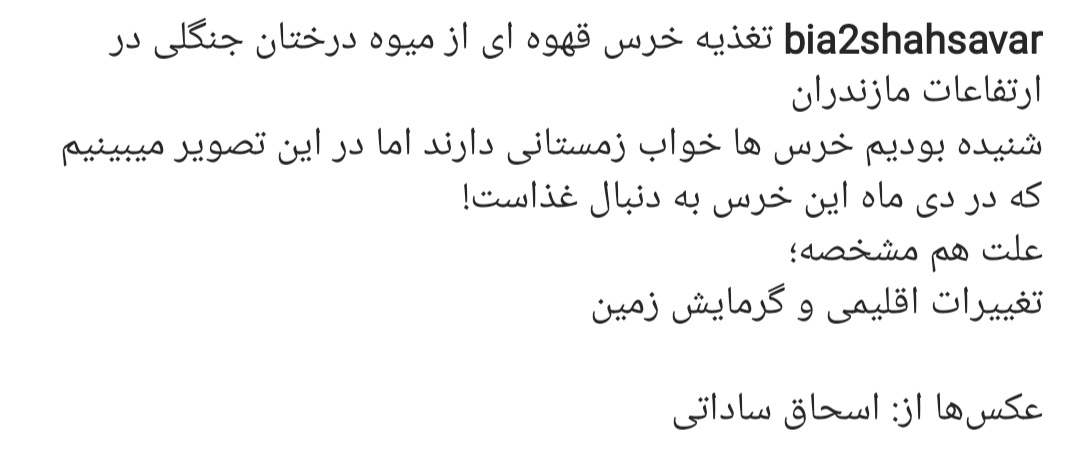 screenshot_%DB%B2%DB%B0%DB%B2%DB%B3%DB%B
