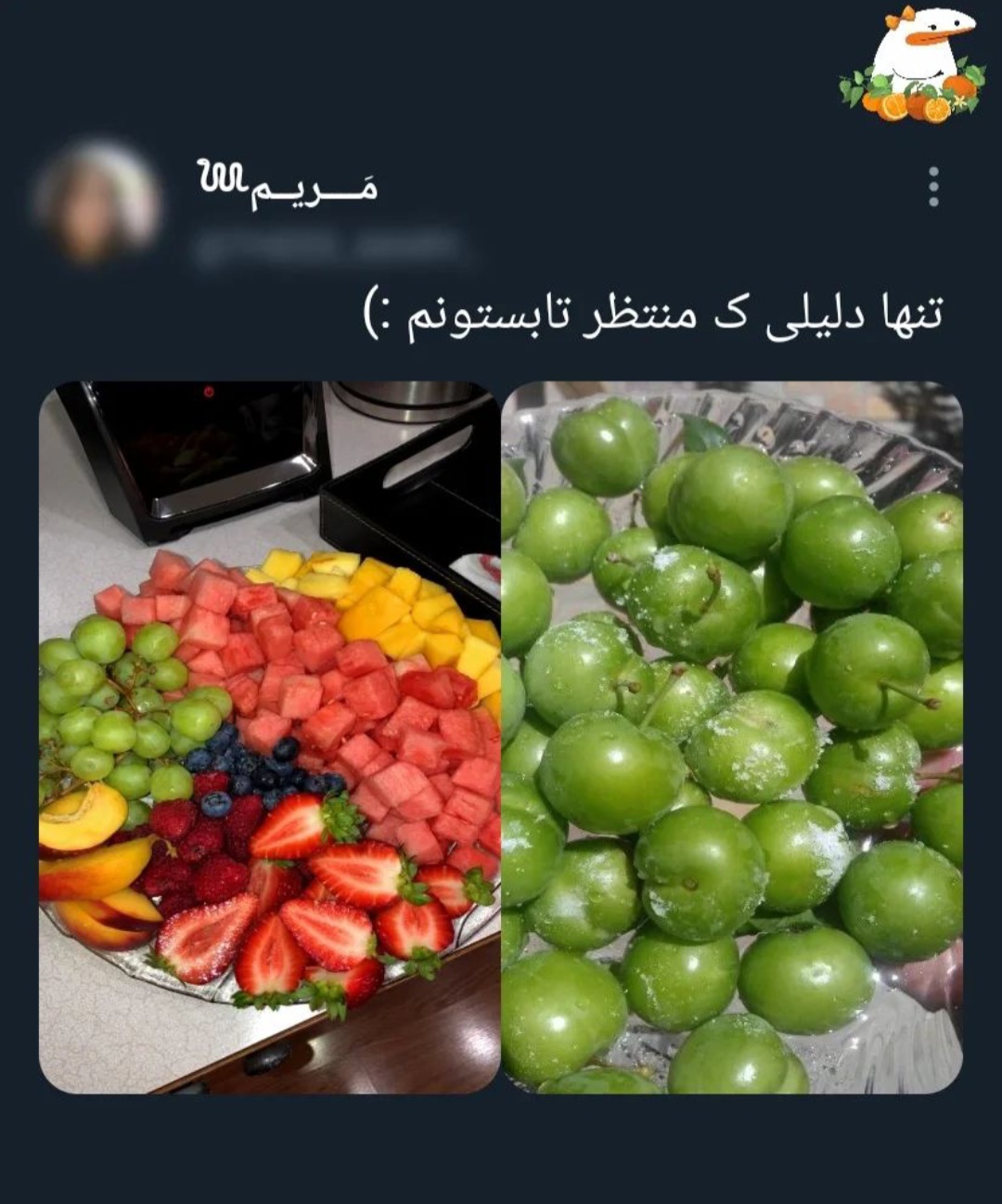screenshot_%DB%B2%DB%B0%DB%B2%DB%B3%DB%B