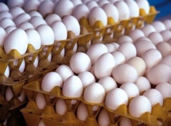 قیمت تخم مرغ بسته بندی در روزهای آتی اعلام می شود