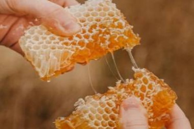 تولید ۱۳۶ هزار تن عسل براساس سرشماری امسال/ بیش از ۱۱.۵ میلیون کلنی زنبور عسل در کشور مستقر است