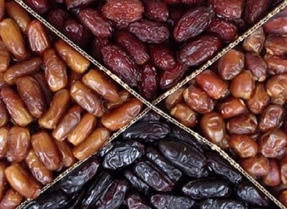 تدارک ۱۰۰ هزار تن خرما برای ماه مبارک رمضان در سراسر کشور