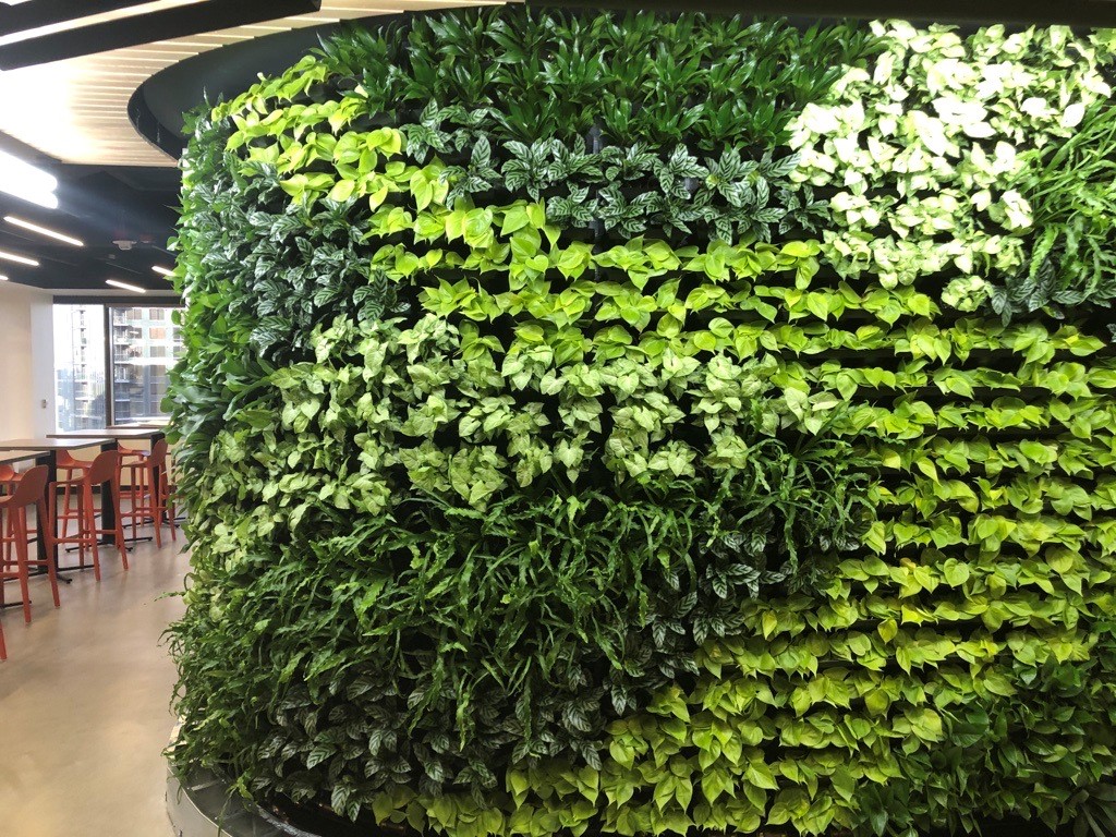 طراحی دیواز سبز در باغ گل رضوان