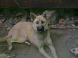 19h1_20110518637.jpg