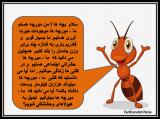 2u3_l-s-c-ant-2.jpg