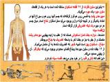 2yym_body-skeleton-5-2.jpg