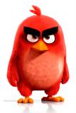 3eru_angry+birds+movie+01.jpg