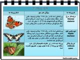 3grj_insects-18-13.jpg