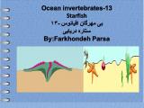 3u0t_ocean_invertebrates-13-1.jpg
