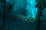 4nro_kelp_forest.png