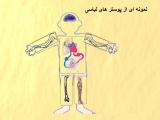 5qba_m10.jpg