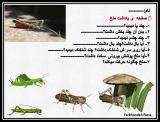 606_invertebrate_project-4-6.jpg