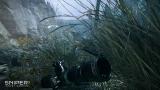 636a_grass_screenshot_sgw3.jpg