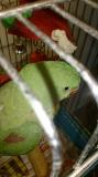75r5_photo_2017-12-11_20-31-55.jpg