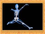 8e94_body-skeleton-5-16.jpg