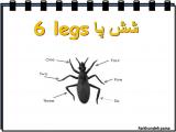 9h89_insects-5-8.jpg