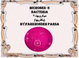 b67p_microbes-3-1.jpg