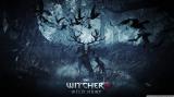 bke_leshy_the_witcher_3_wild_hunt-wallpaper-1366x768.jpg