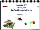 es4c_insects-17-1.jpg