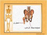 g8gu_body-skeleton-8-7.jpg