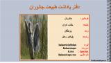 ge16_stork-4-3.jpg