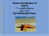 hcm_ocean_invertebrates-12-1.jpg