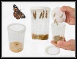 i1ud_invertebrate_project-5-5.jpg