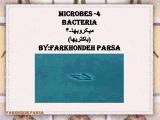 i96q_microbes-4-1.jpg