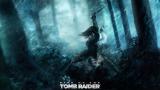 kwm_rise-of-the-tomb-raider-1680x945-wallpaper-16989.jpg