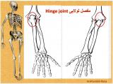 l2ch_body-skeleton-12-11.jpg