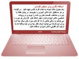 l4zs_anecodotal_records-9.jpg