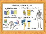 l59n_body-skeleton-11-10.jpg