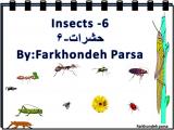 nlt3_insects-6-1.jpg