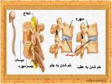 obqi_body-skeleton-5-4.jpg